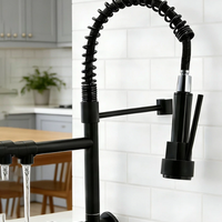 Torneira de cozinha gourmet alça única com extensor de spray