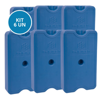 Kit 6 Gelo Gel Artificial Reutilizável Rígido 500ml