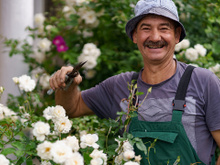 O segredo para um gramado livre de ervas daninhas: a estratégia adotada por jardineiros profissionais