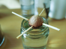 Abacateiro: aprendi como plantar um caroço de abacate do jeito certo, com essas dicas ficou fácil!