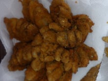 Cebola estilo Outback