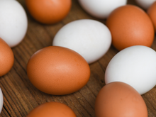 Ovos brancos ou ovos marrons: qual a diferença e qual você deve comprar? O TudoGostoso soluciona essa dúvida
