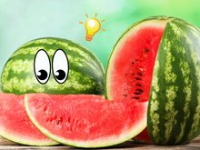 A única maneira de saber quando uma melancia está madura, de acordo com um fazendeiro