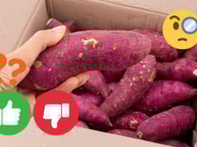 Benefícios e malefícios da batata-doce: saiba por que comer o tubérculo, se ajuda a emagrecer, quanto consumir e cuidados