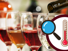 A maioria faz errado: saiba qual é temperatura correta de servir cada vinho