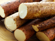 Um inhame vira muitos em pouco tempo: aprenda como plantar inhame em vaso e tenha sempre o alimento cheio de benefícios em casa