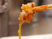 Polvo se mexendo no prato? Conheça o segredo por trás da iguaria coreana que serve animal ainda cru