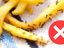 Com quantos anos você descobriu que juntar esses dois ingredientes afastam baratas e formigas?