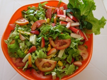 Salada primavera