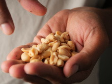 Um lanche diário comum entre os brasileiros pode contribuir para uma melhor memória no futuro: ele é encontrado com facilidade