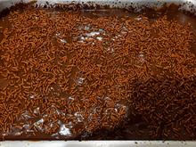 Bolo de bandeja de brigadeiro é a receita maravilhosa da minha sogra que você vai querer comer todo dia!