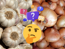 A cebola e o alho podem permanecer frescos por meses se armazenados corretamente e o melhor local é bem inusitado