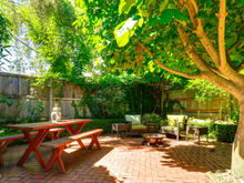 Poucas pessoas sabem, mas essa é a melhor árvore frutífera para cultivar no quintal já que ela dá sombra e não racha o piso