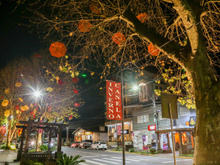 Temporada de Inverno de Canela 2024: cultura, diversão e gastronomia até agosto