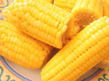 Milho assado na airfryer é irresistível! Como fazer a receita clássica de festa junina na fritadeira