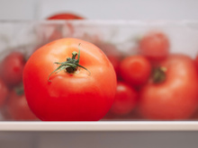 Agricultora explica onde os tomates devem ser armazenados: "Sempre fizemos errado"
