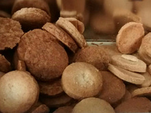 Biscoitinhos para crianças