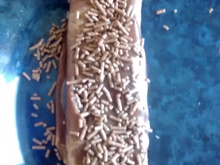 Panqueca de chocolate com recheio de brigadeiro