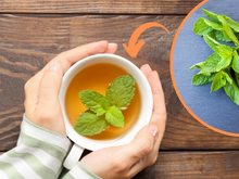 Chá de hortelã: os benefícios e malefícios dessa poderosa bebida, como fazer a infusão e quanto consumir por dia