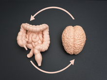 Setembro Amarelo: 4 sinais no intestino de que ansiedade e estresse estão afetando seu corpo