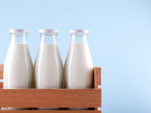Saiba as diferenças entre os leites de vaca, de cabra e de búfala
