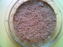 Chocolate de bolacha