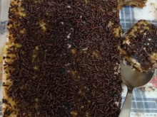 Pavê de panetone