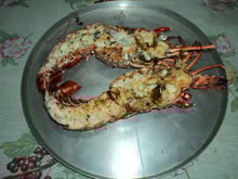 Lagosta Grelhada