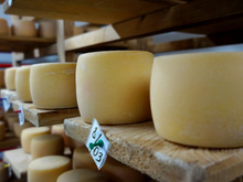 Crianças podem comer queijo de leite cru? TudoGostoso responde