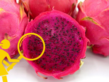 Esse benefício secreto da pitaya (que poucos sabem!) é muito bom pra saúde