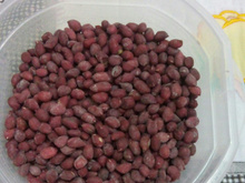 Amendoin Torrado com Sal