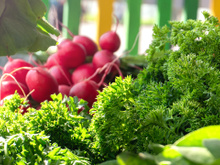 Nem alface, nem couve: essa é a hortaliça esquecida na feira que tem ação antioxidante e anti-inflamatória