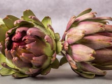 Como fazer alcachofra e aproveitar os incríveis benefícios que essa flor deliciosa oferece