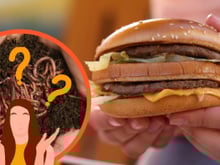 Finalmente McDonalds revela se é mito ou verdade que o hambúrguer é feito de minhoca e você precisa saber disso!