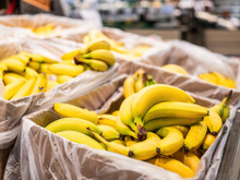 O guia definitivo da banana: benefícios, qual tipo serve melhor para cada receita e usos criativos nas plantas e na limpeza