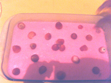 Mousse de Morango