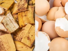 Misturar cascas de banana e ovo: por que é recomendado e para que serve