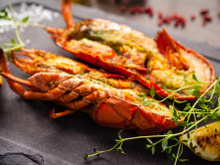 Boa gastronomia, música, eventos esportivos e feira de negócios no XVI Festival da Lagosta de Icapuí/CE; confira!