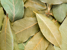 Xô, insetos: coloque folhas de louro no armário da cozinha e veja o que acontece com as formigas