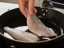 Como grelhar peixe na frigideira sem despedaçar? TudoGostoso ensina o truque para deixar o filé douradinho e suculento