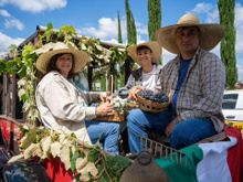 Festa da Uva de Colombo, no Paraná, celebra imigração italiana com shows, massas e muito vinho