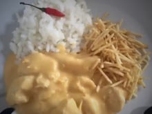 Strogonoff nutritivo
