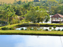 Ano Novo em Poços de Caldas/MG terá queima de fogos de 5 minutos e shows; veja!