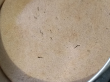 Pão de banana low carb