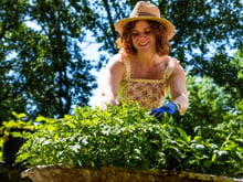 Montando um novo jardim? Kit de jardinagem da Tramontina reúne 5 peças para cuidar das plantas