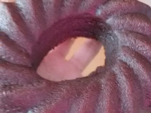 Brigadeirão de micro-ondas