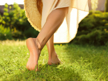 Planta que nasce em qualquer jardim e tem na rua é um anti-inflamatório gratuito para o seu corpo, comprovado pela ciência