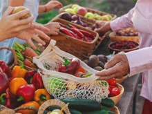 Do quintal da vovó para a mesa: 3 vegetais esquecidos que ganharam destaque novamente no TudoGostoso