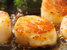 O que é e como preparar vieira