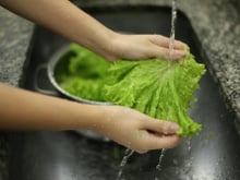 Como higienizar alface: vinagre, água sanitária e até limão lavam bem suas verduras